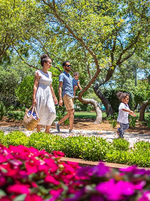 A family of four walks along a path surrounded by green trees and colorful flowers on a sunny day in WaterColor Cerulean Park.