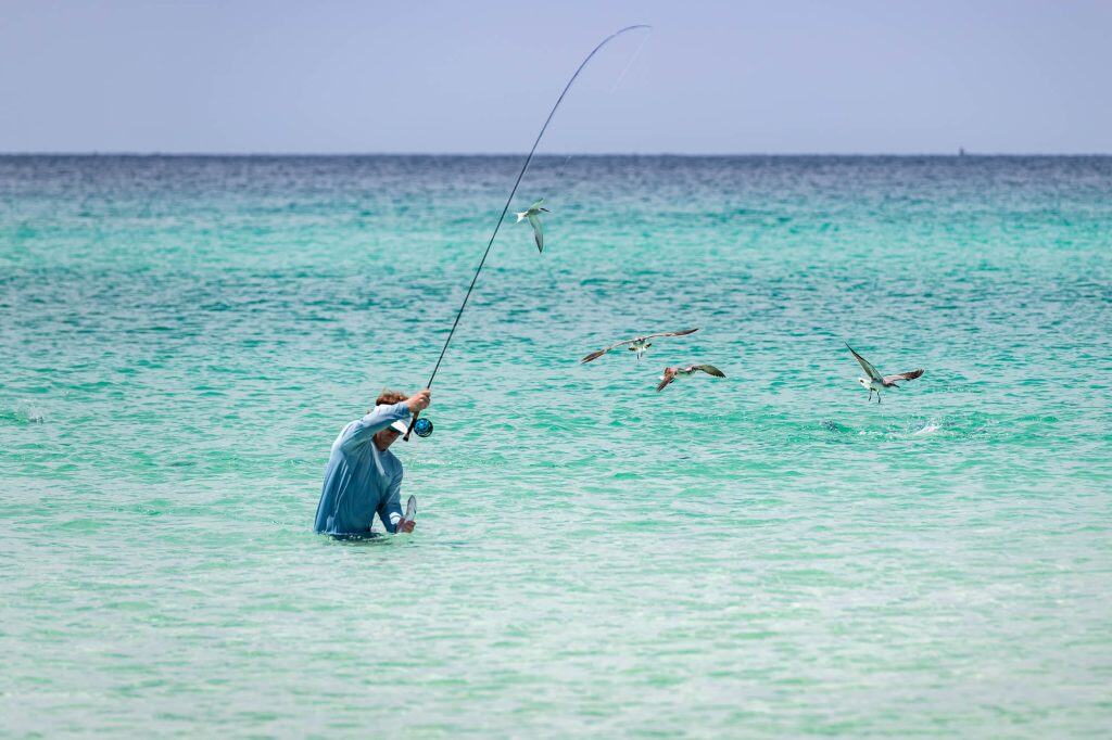 Person standing in shallow turquoise water, casting a fishing line while several seabirds fly close by, with the ocean and sky in the background.