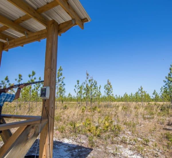 A person in a shooting vest aims a shotgun from a wooden platform at a clay target in a grassy, tree-lined outdoor shooting range under a clear blue sky.