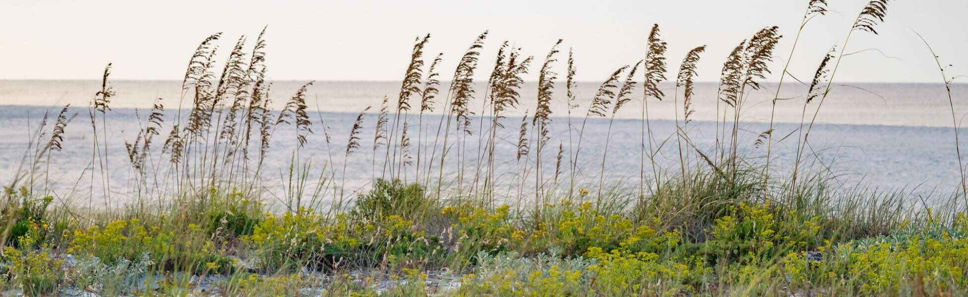 Black Friday Savings on 30A Hotel Getaways