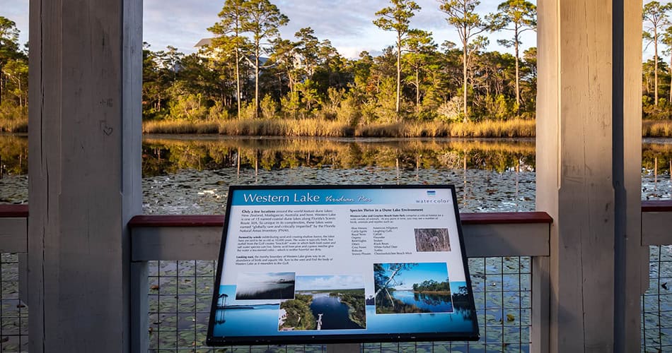 Signage at Western Lake highlights 30A wildlife
